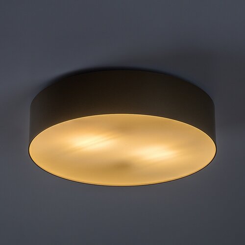 Dolen (75067)